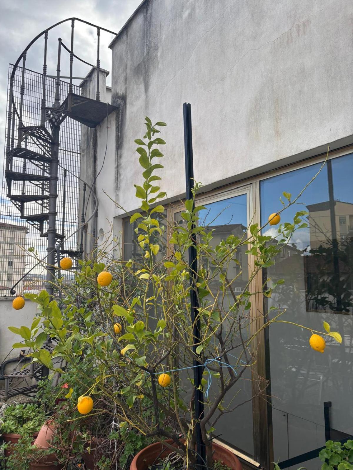 Отель Girasole House Флоренция Экстерьер фото